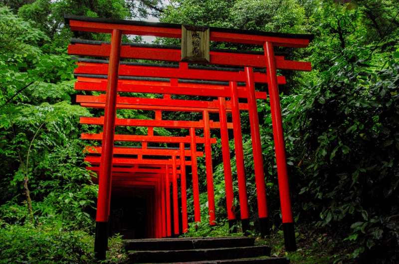 楓稲荷神社（鳥居）