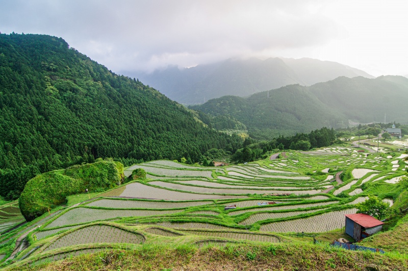 丸山千枚田