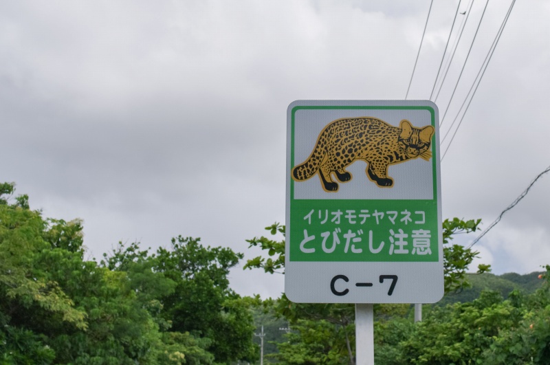 とびだし注意