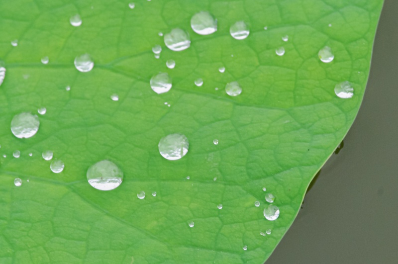 水滴