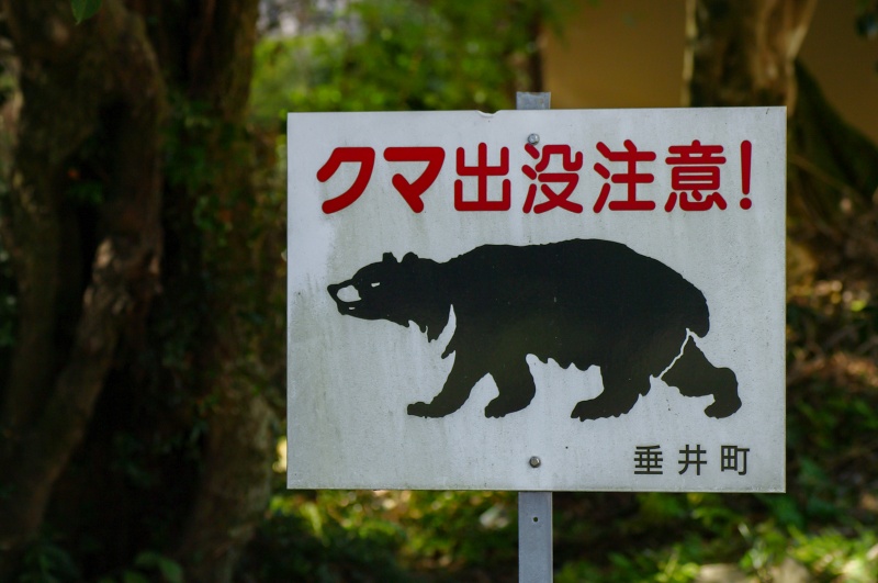 クマ出没注意！