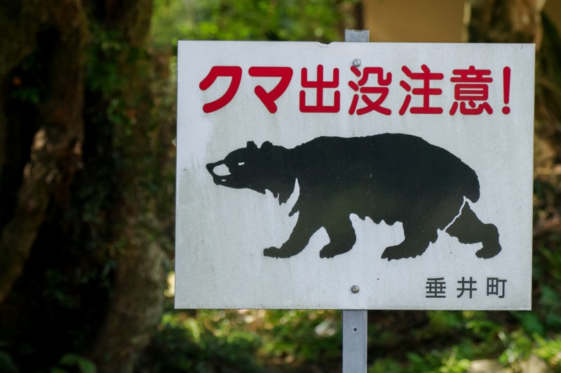 クマ出没注意！