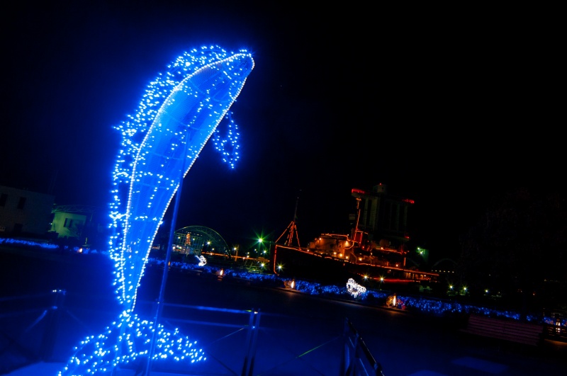 イルカと南極観測船ふじ