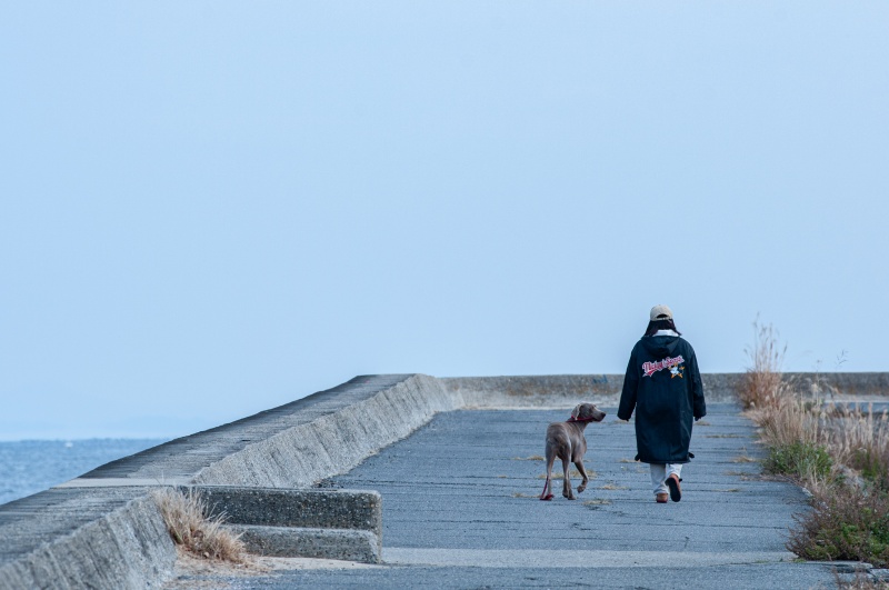 海辺のおさんぽ