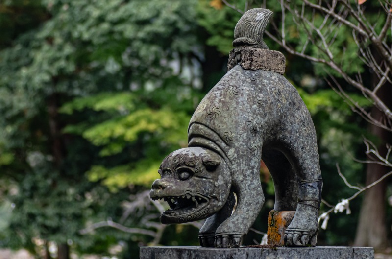 養父神社（狛犬）