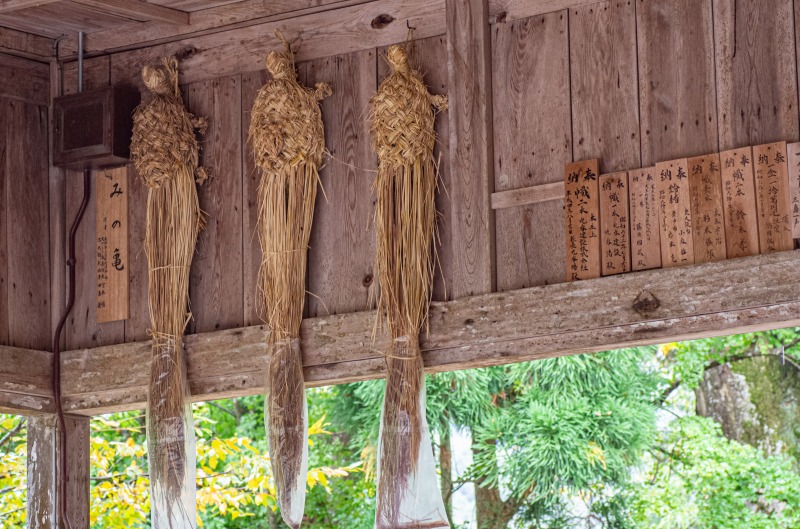 浦嶋神社（宇良神社）（みの亀）