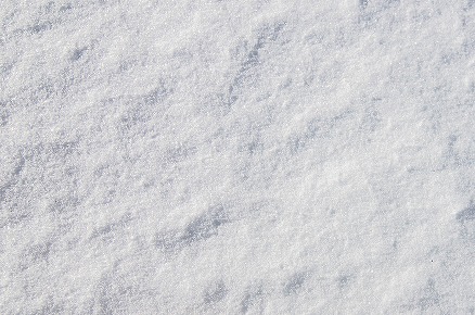 ひんやりのおすそ分け