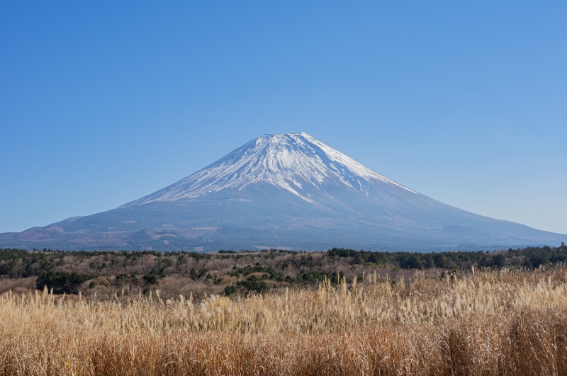 朝霧高原