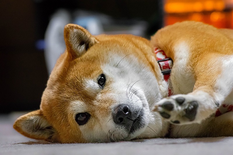 撮っちゃダメ！