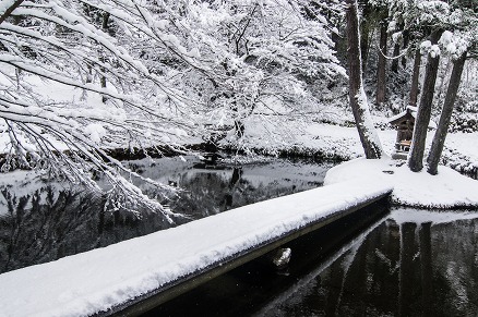 【写真】雪の朝