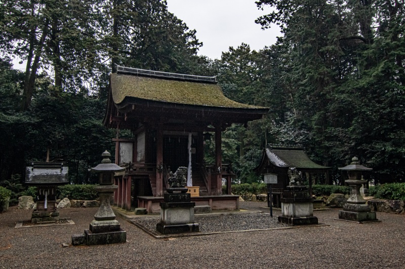 苗村神社（東本殿）