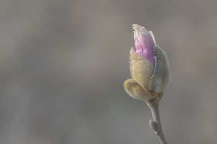 【写真】秋物の準備