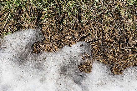 【写真】冬と春の境界線