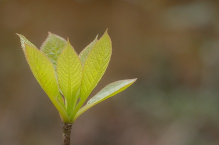 【写真】息吹が聞こえる