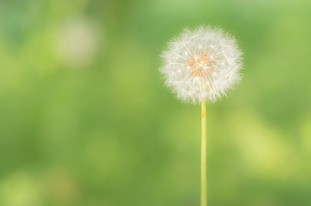 【写真】どこに行きたい？