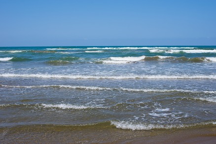 【写真】海を見つめて