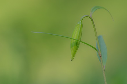 【写真】薄暑