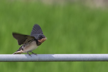 【写真】TAKE OFF