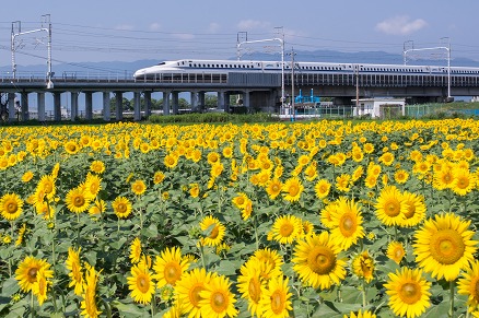 【写真】のぞみ