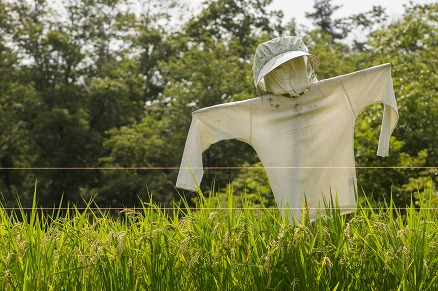 【写真】出番です