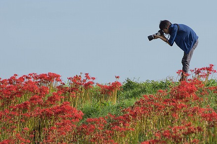 【写真】パシャパシャ中(24)