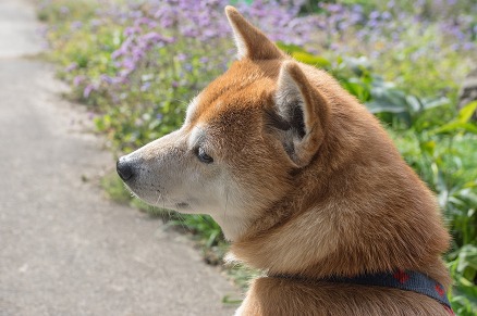 【写真】なでなで？