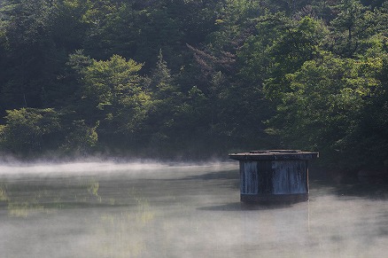 【写真】朝霧