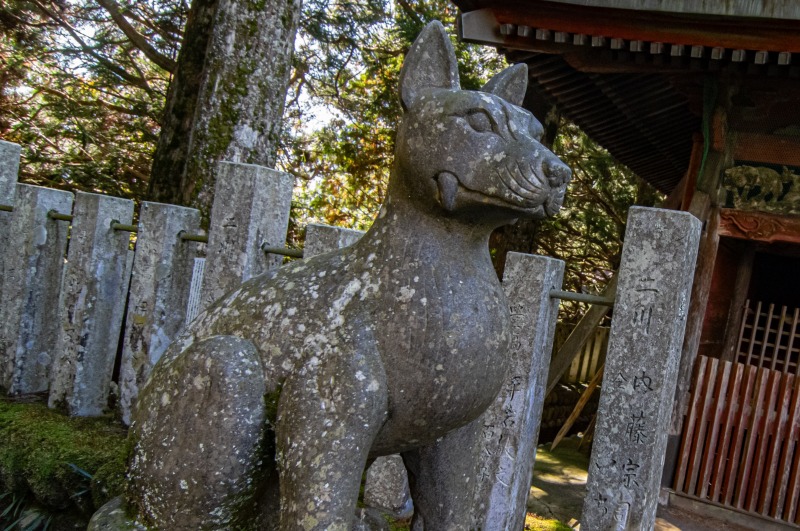 山住神社（狛山犬）