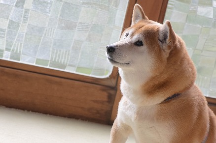 【写真】撮り初め